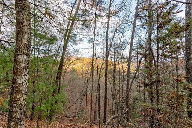 LOT81 Whetstone Rd, Sevierville, TN 37862
