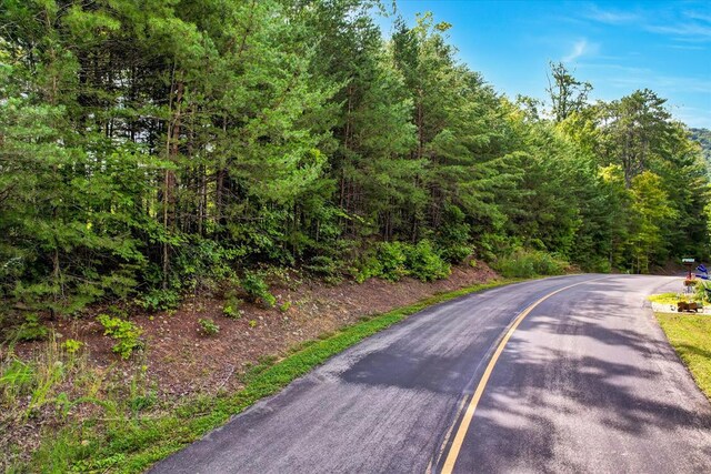 LOT81 Whetstone Rd, Sevierville, TN 37862