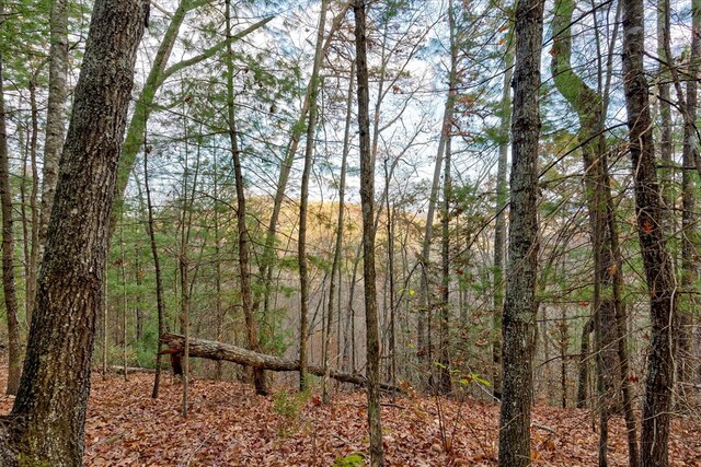 LOT81 Whetstone Rd, Sevierville, TN 37862