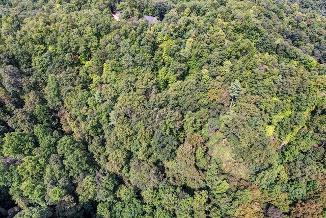 LOT81 Whetstone Rd, Sevierville, TN 37862
