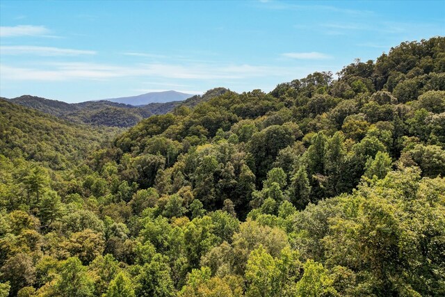 LOT81 Whetstone Rd, Sevierville, TN 37862