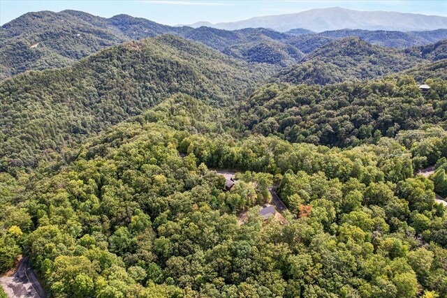 LOT81 Whetstone Rd, Sevierville, TN 37862