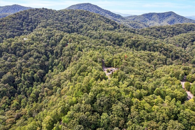LOT81 Whetstone Rd, Sevierville, TN 37862