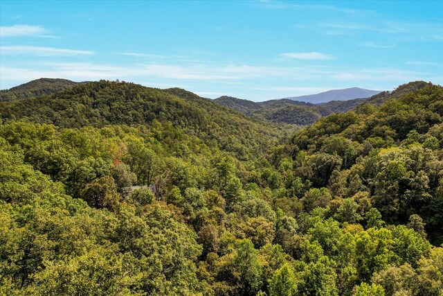 LOT81 Whetstone Rd, Sevierville, TN 37862