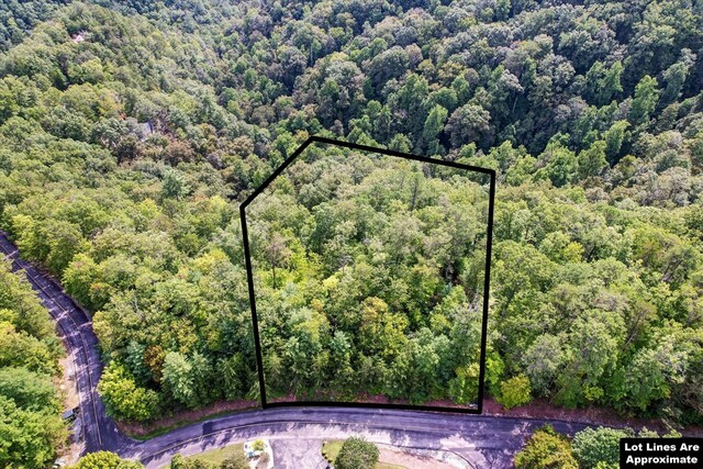LOT81 Whetstone Rd, Sevierville, TN 37862