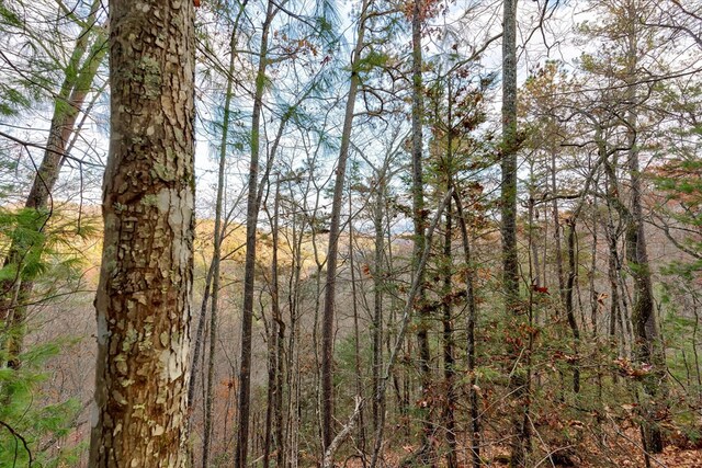 LOT81 Whetstone Rd, Sevierville, TN 37862