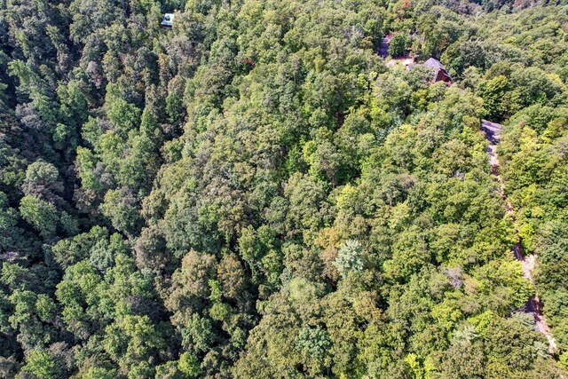 LOT81 Whetstone Rd, Sevierville, TN 37862