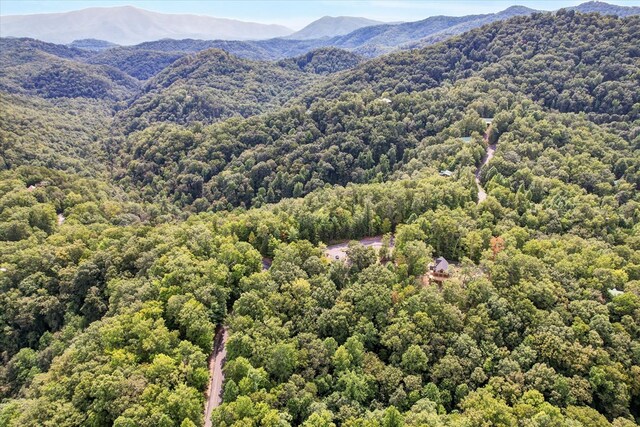 LOT81 Whetstone Rd, Sevierville, TN 37862