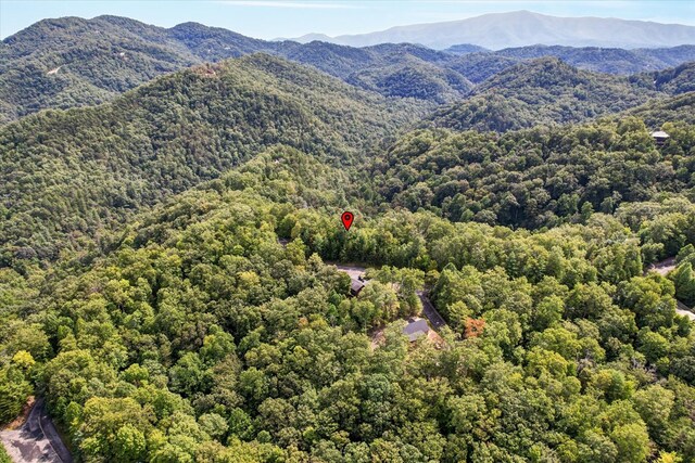 LOT81 Whetstone Rd, Sevierville, TN 37862