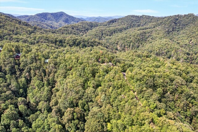 LOT81 Whetstone Rd, Sevierville, TN 37862