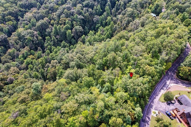 LOT81 Whetstone Rd, Sevierville, TN 37862
