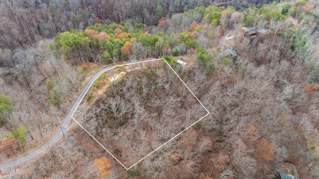 LOT22 Trace Way, Sevierville, TN 37862