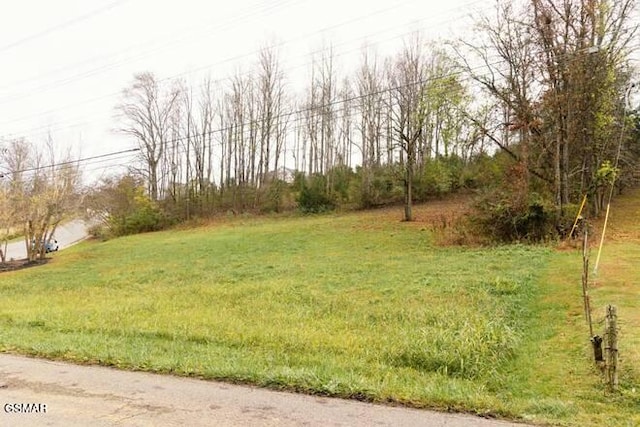 Listing photo 3 for 2601 Clyde Ed Rd, Kodak TN 37764