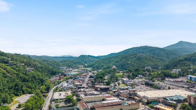 685 River Rd Unit 314, Gatlinburg, TN 37738 - mountain view
