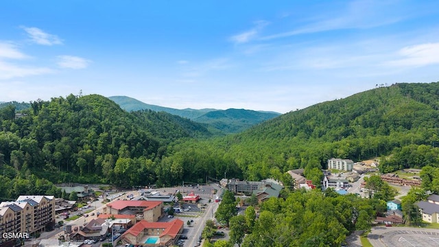 685 River Rd Unit 314, Gatlinburg, TN 37738 - mountain view with a forest