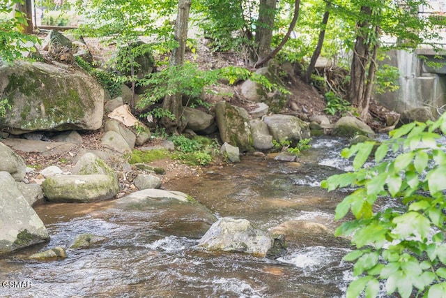 685 River Rd Unit 314, Gatlinburg, TN 37738 - view of nature