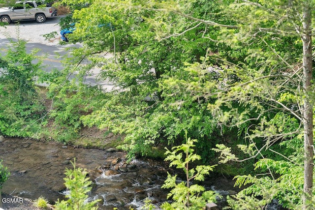 685 River Rd Unit 314, Gatlinburg, TN 37738 - view of local wilderness