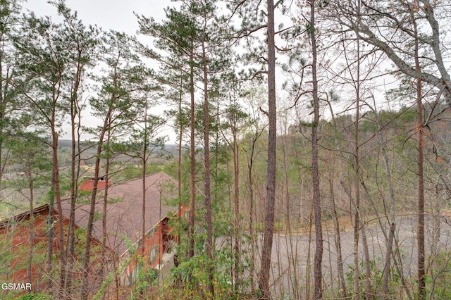 429 Deer Path Ln Unit 103, Gatlinburg, TN 37738 - photo 37