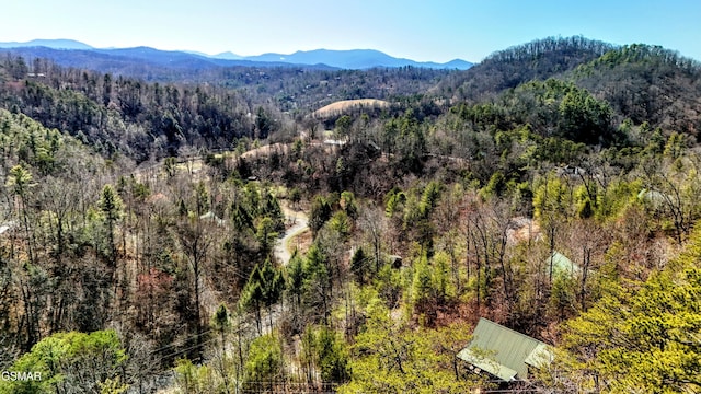 view of mountain feature with a forest view