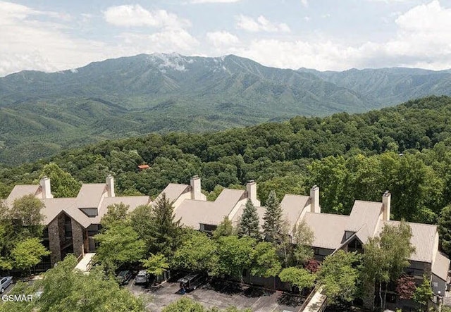 1130 Ski View Dr Unit 315, Gatlinburg, TN 37738 - mountain view with a forest