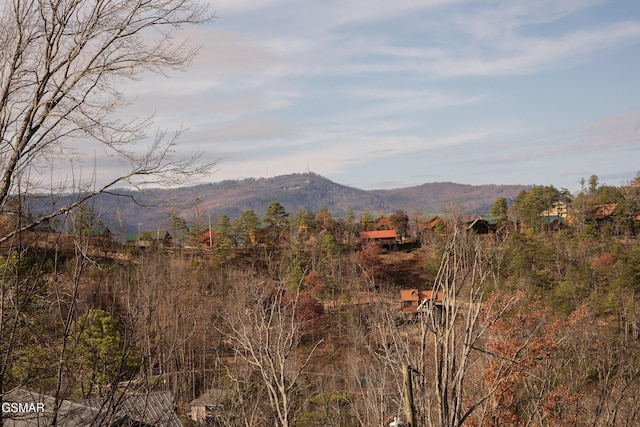 view of mountain feature