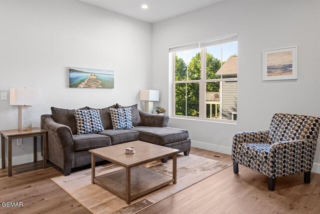 1103 Sanctuary Shores Way, Sevierville, TN 37876 - living room featuring wood finished floors and recessed lighting