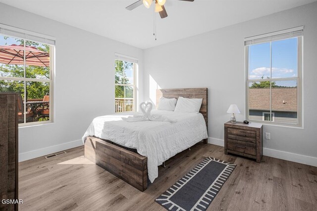 1103 Sanctuary Shores Way, Sevierville, TN 37876 - bedroom with wood finished floors and a ceiling fan