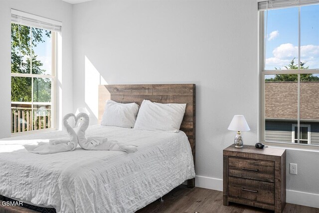 1103 Sanctuary Shores Way, Sevierville, TN 37876 - bedroom featuring multiple windows and wood finished floors