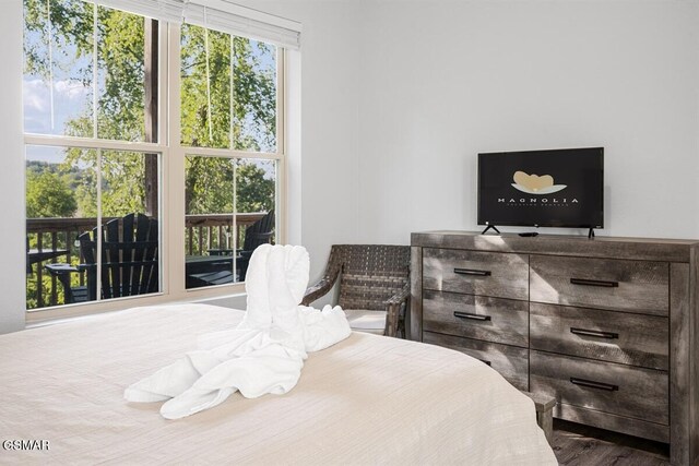 1103 Sanctuary Shores Way, Sevierville, TN 37876 - view of bedroom
