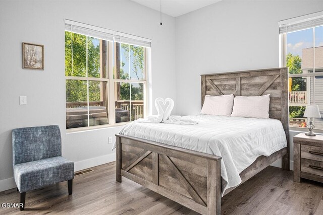 1103 Sanctuary Shores Way, Sevierville, TN 37876 - bedroom with multiple windows and wood finished floors