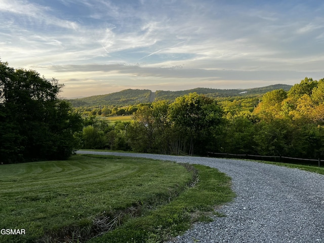 view of mountain feature