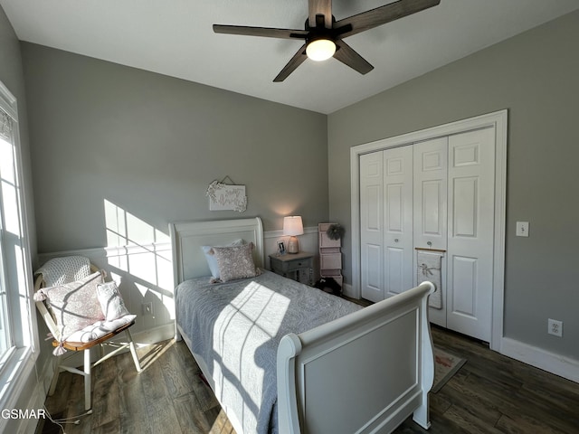 bedroom with a closet, dark wood-style flooring, multiple windows, and baseboards