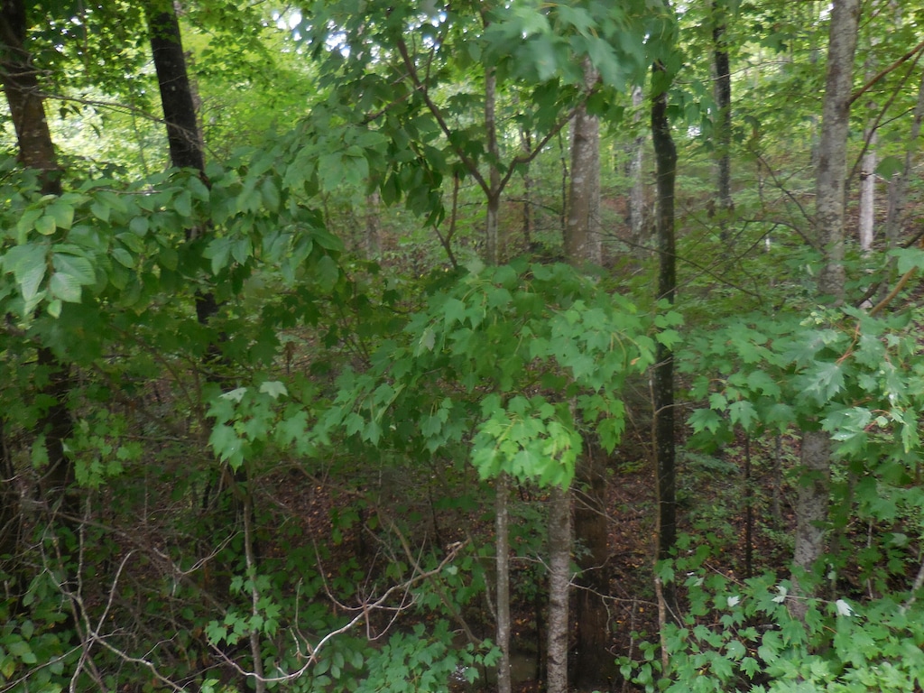 LOT46 Murray Ridge Rd, Sevierville, TN 37876 - photo 1