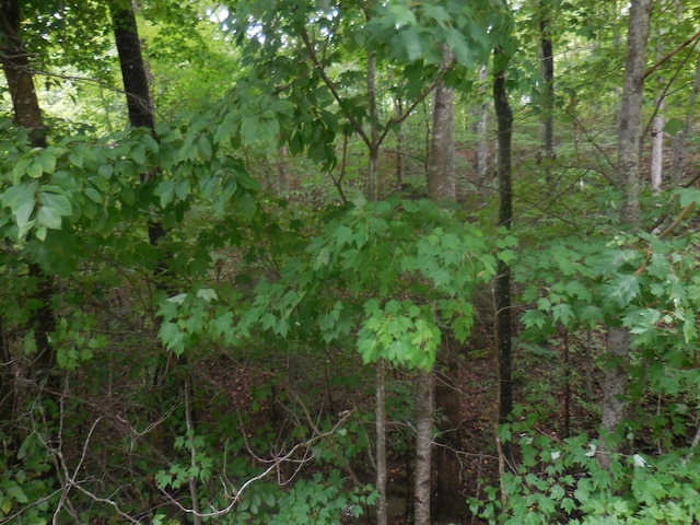 LOT46 Murray Ridge Rd, Sevierville, TN 37876