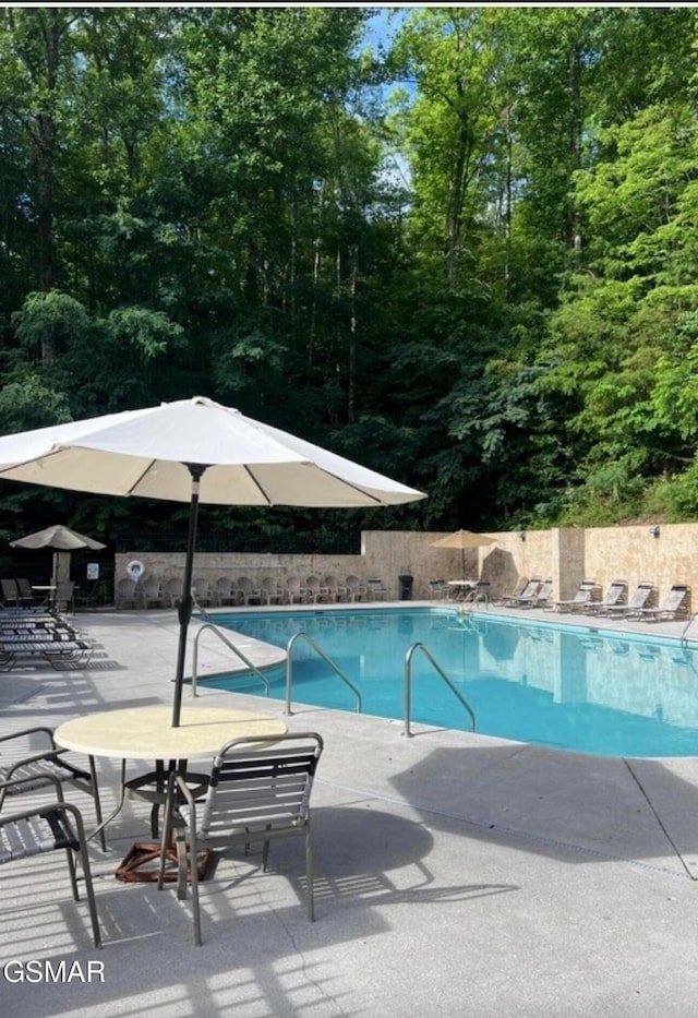 view of pool featuring a patio