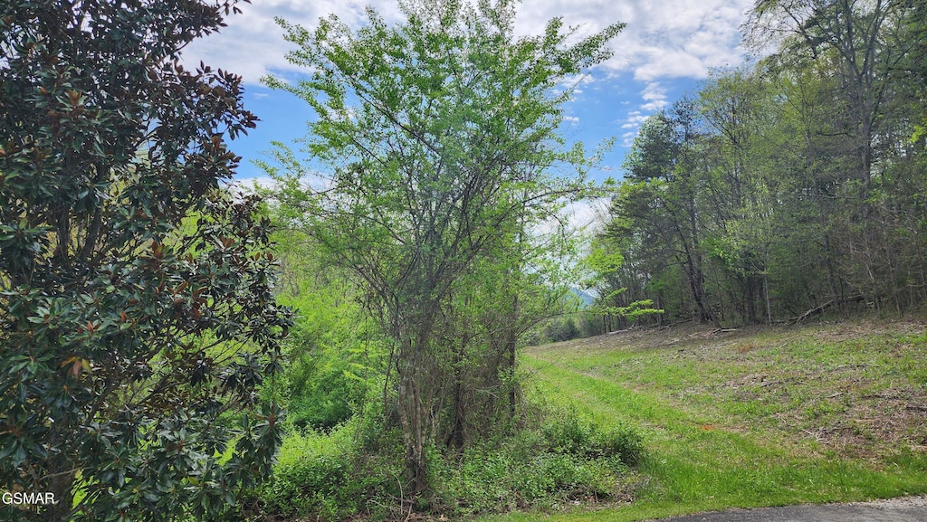 LOT36 English Fields Dr, Newport, TN 37821 - photo 4