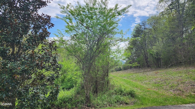 LOT36 English Fields Dr, Newport, TN 37821 - photo 4