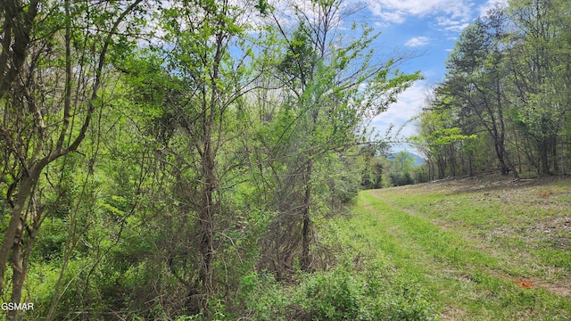 LOT36 English Fields Dr, Newport, TN 37821 - photo 3