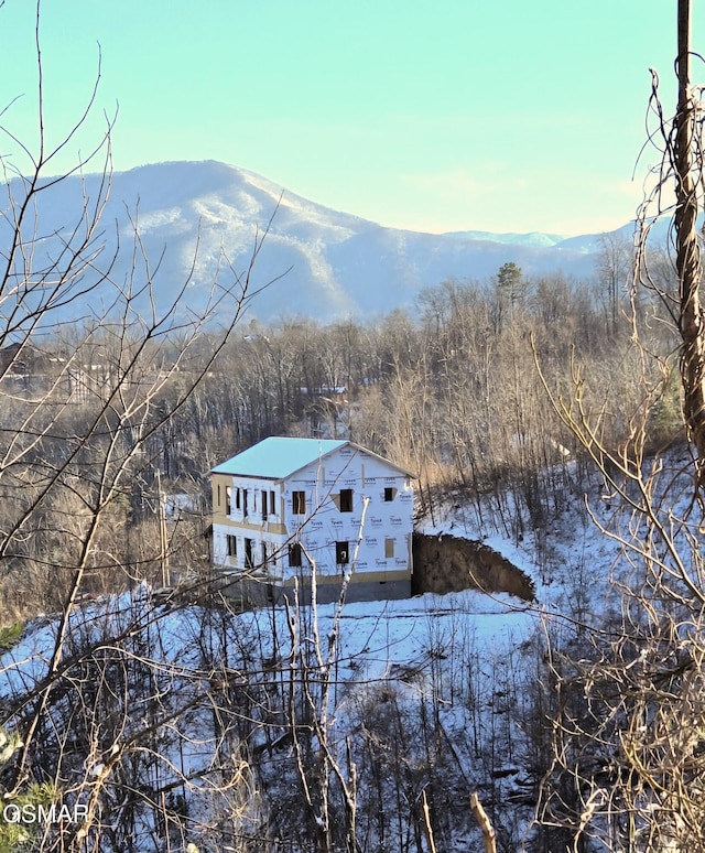 view of mountain feature