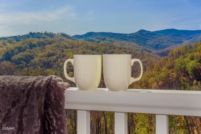 1156 Hemlock Dr, Gatlinburg, TN 37738 - photo 47