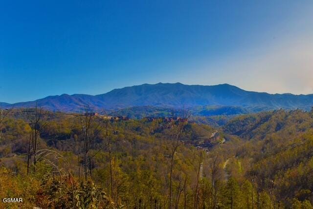 1156 Hemlock Dr, Gatlinburg, TN 37738 - photo 48