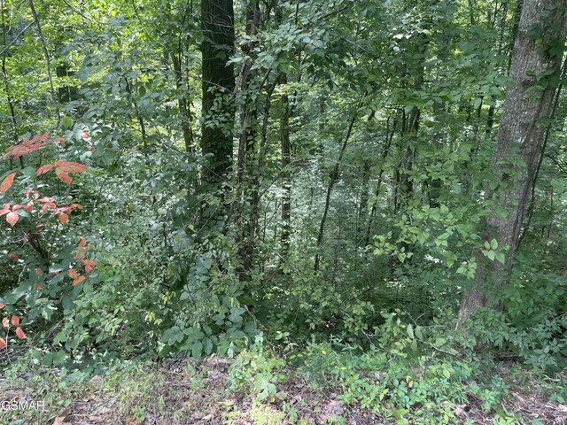 LOT1 King Estates Rd, Sevierville, TN 37876 - photo 7