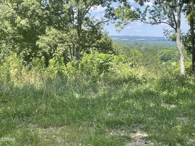 LOT1 King Estates Rd, Sevierville, TN 37876 - photo 1
