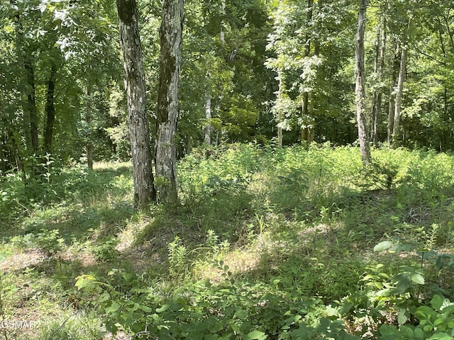 LOT1 King Estates Rd, Sevierville, TN 37876 - photo 2