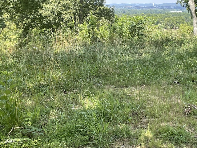 LOT1 King Estates Rd, Sevierville, TN 37876 - photo 4
