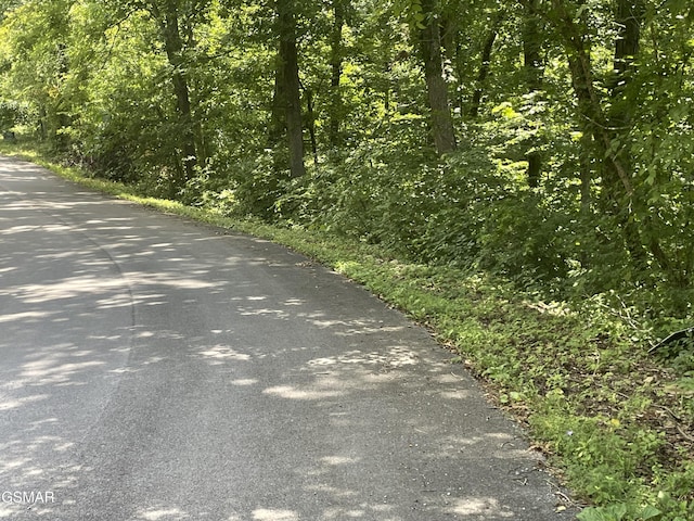 LOT1 King Estates Rd, Sevierville, TN 37876 - photo 5