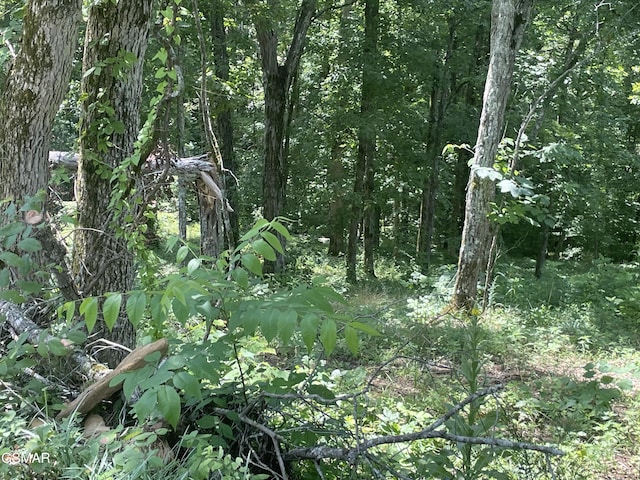 LOT1 King Estates Rd, Sevierville, TN 37876 - photo 3