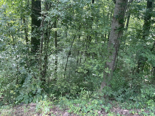 LOT1 King Estates Rd, Sevierville, TN 37876 - photo 6