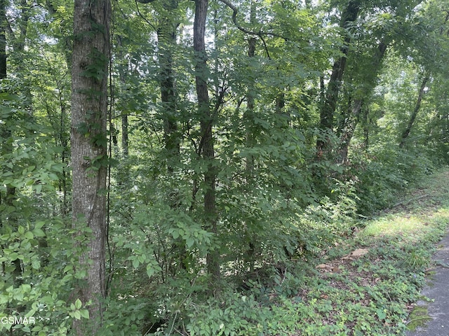 LOT1 King Estates Rd, Sevierville, TN 37876 - photo 8