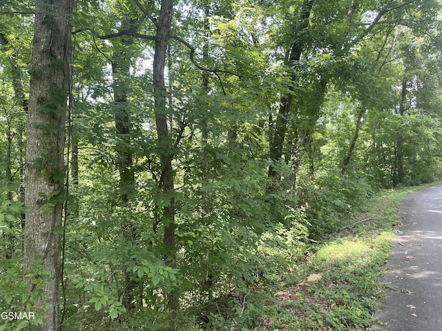 LOT1 King Estates Rd, Sevierville, TN 37876 - photo 9